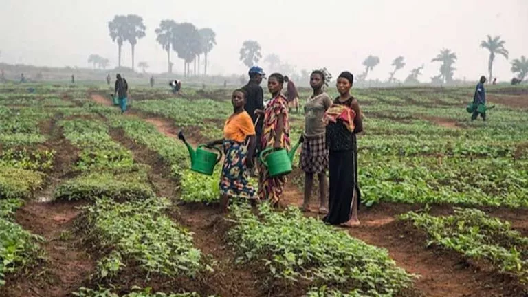 F68EB44F BA84 4AEC BA7E B2D38D6611EB