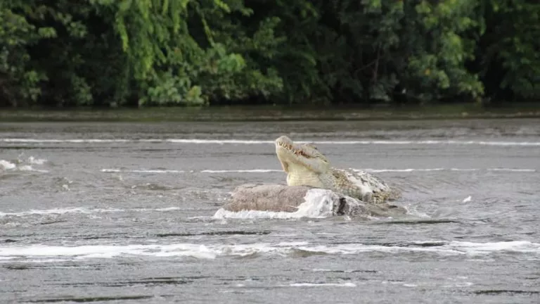 IMG 20220902 193553 1200 X 675 Pixel