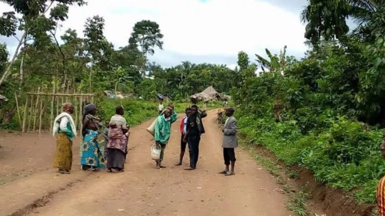 68F353EF EC55 413F B0D5 C6913DE16E38