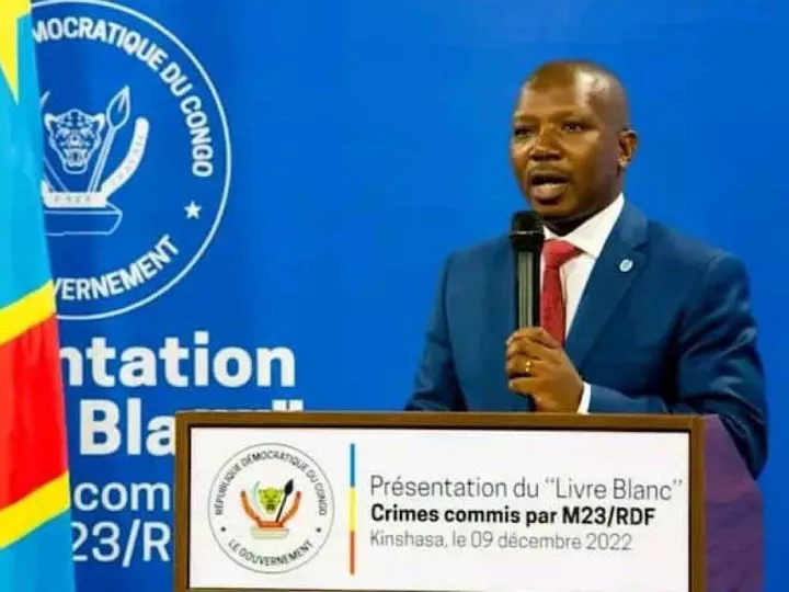 RDC : “Les crimes commis par le M23 et ses alliés ne resteront pas impunis” (Amato Bayubasire)
