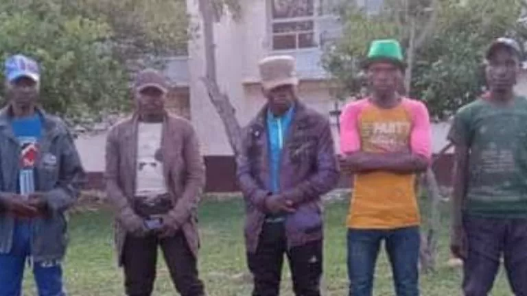 sud kivu : 5 miliciens se rendent