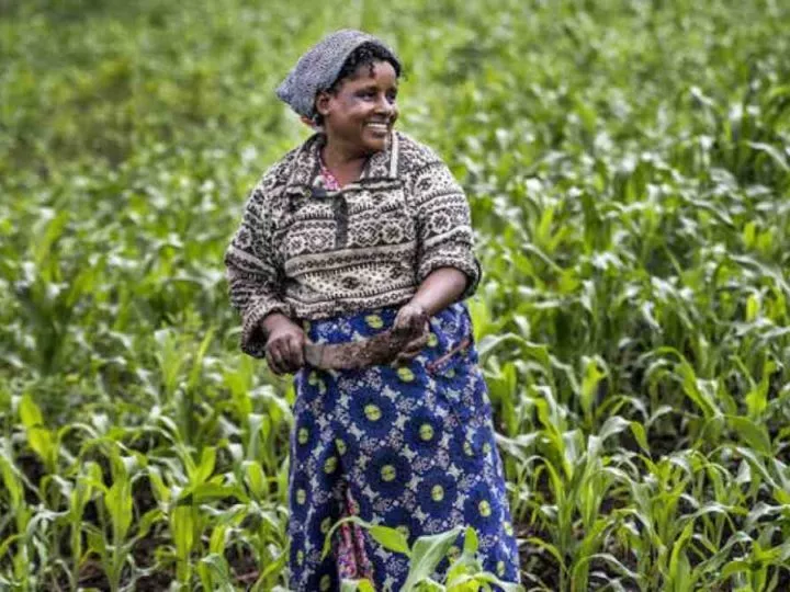 La RDC s’engage à améliorer la production agricole grâce à la formation et à la mécanisation