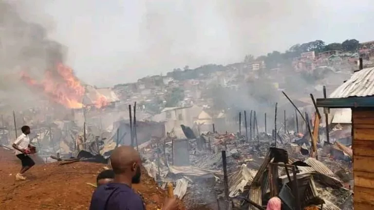 C73D5BD0 718A 4531 B669 07868F990FCF