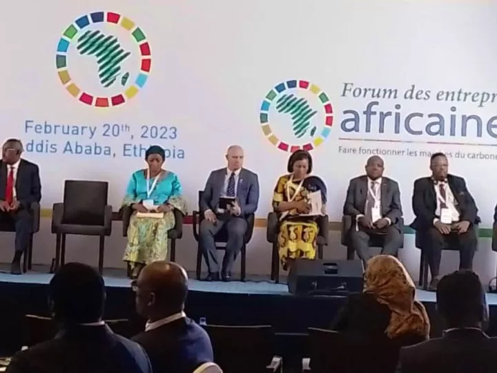 Eve Bazaiba, Ministre de l’environnement de la RDC, participe au 6ème Forum des Entreprises Africaines