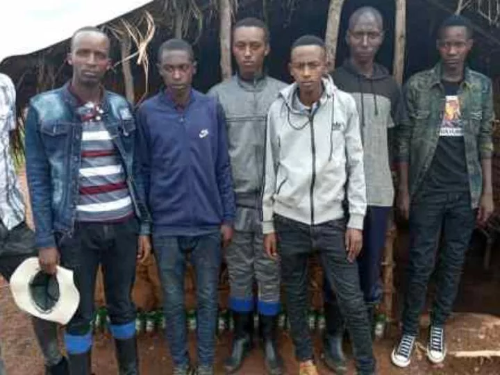 Sud-Kivu : 7 éléments du groupe rebelle Twigwaneho se rendent à l’armée à Minembwe