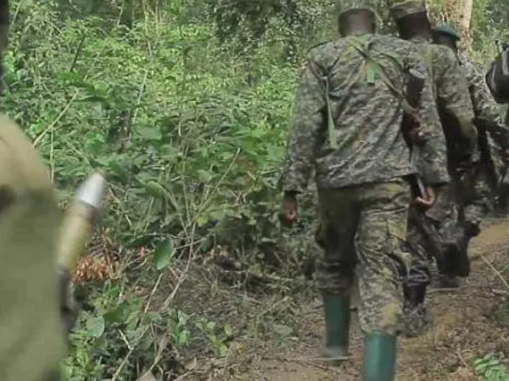 Opérations conjointes FARDC-UPDF : La coalition encourage les combattants ADF à se rendre volontairement