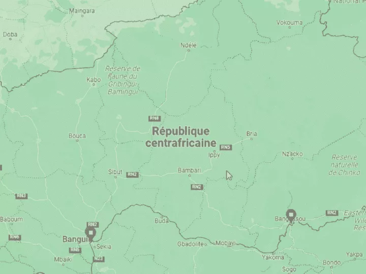 Centrafrique: Neuf citoyens chinois tués dans l’assaut de Chingbolo