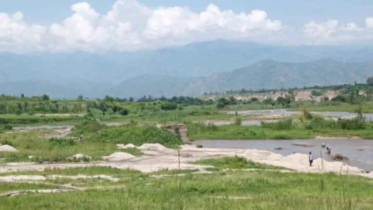 D805DA1A 780D 49F0 9448 A51433E63DEA