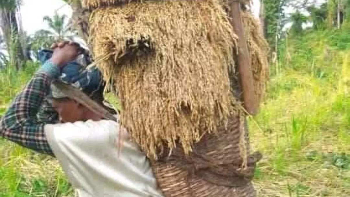 RDC : Les femmes au Katanga sont surchargées des travaux