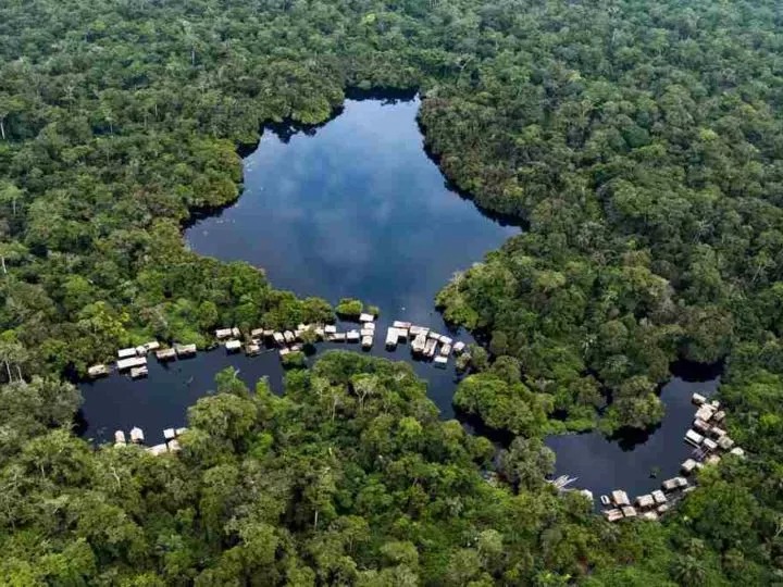 Kisangani accueille la 2e conférence internationale sur la biodiversité dans le Bassin du Congo