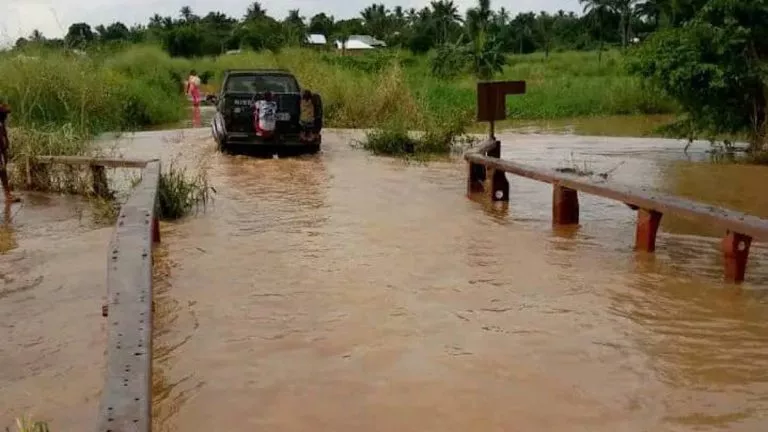 DB78D4C6 2BE5 487D BA9C EDCED14A1418