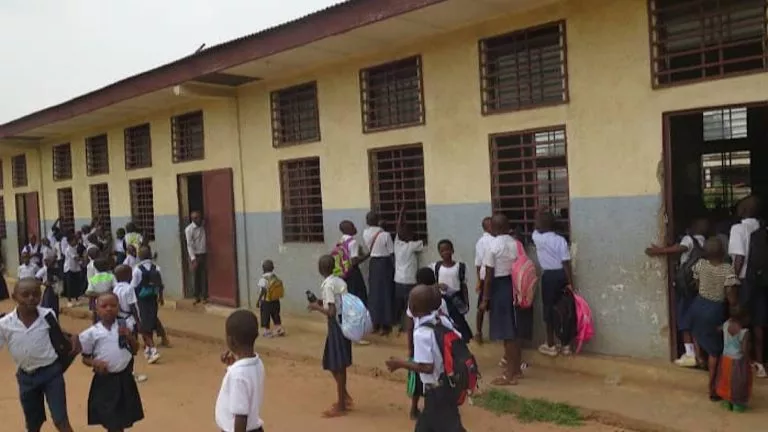 ECD3E69F EA6D 476D 9726 CB0CBC70710D