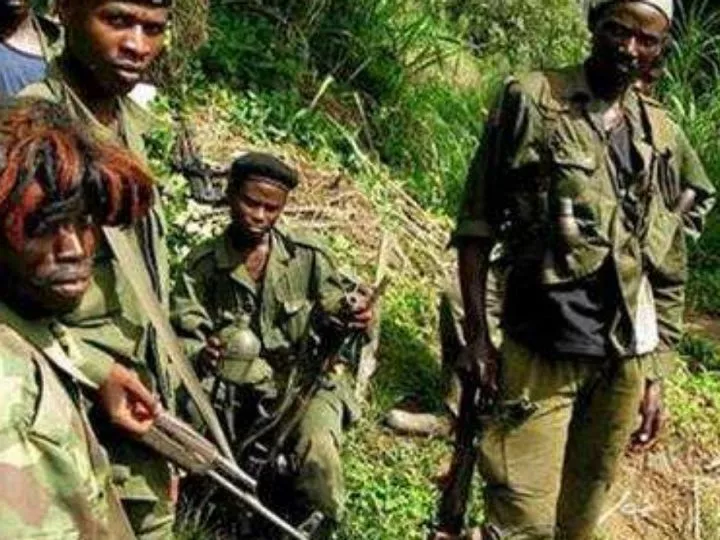 Rutshuru : Des affrontements entre les M23 et les FDLR signalés ce jeudi à Bwito