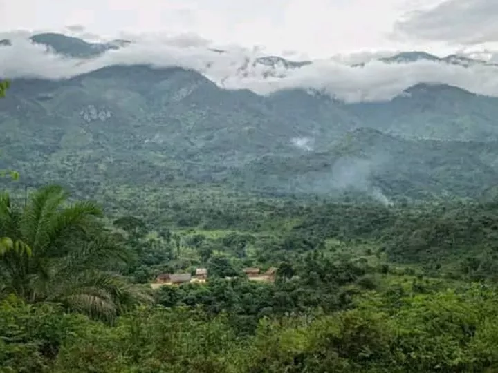 Mwenga : Un homme tué par des présumés rebelles burundais Imbonerakure à Mugutu