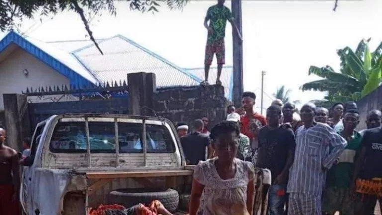 26122057 B2BF 4028 9CF1 841F39357CD5