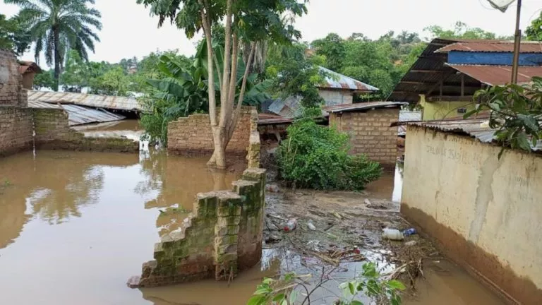 Catastrophe naturelle au Kasaï Pluie torrentielle entraîne l'effondrement de 80 maisons à Luebo