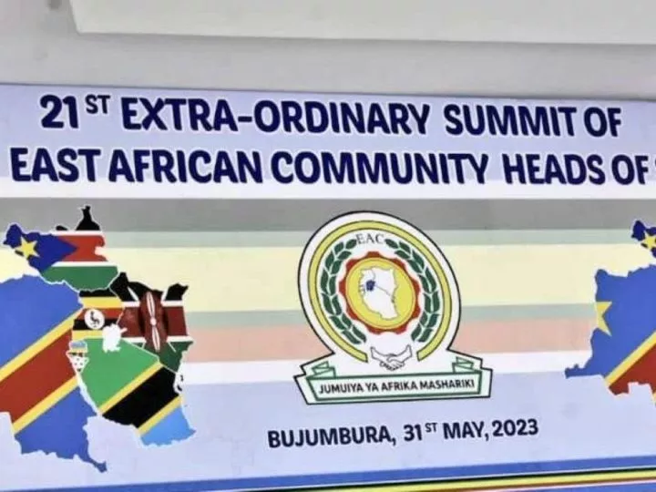 Le 21ème Sommet Extraordinaire de l’EAC se penche sur les Enjeux Régionaux et la Paix en RDC