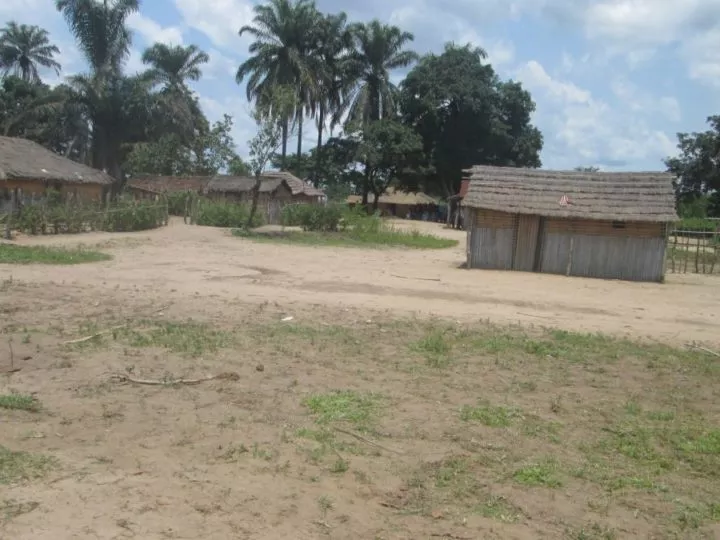 Un Colonel des FARDC Décapité lors d’une Attaque Sanglante à Kwango