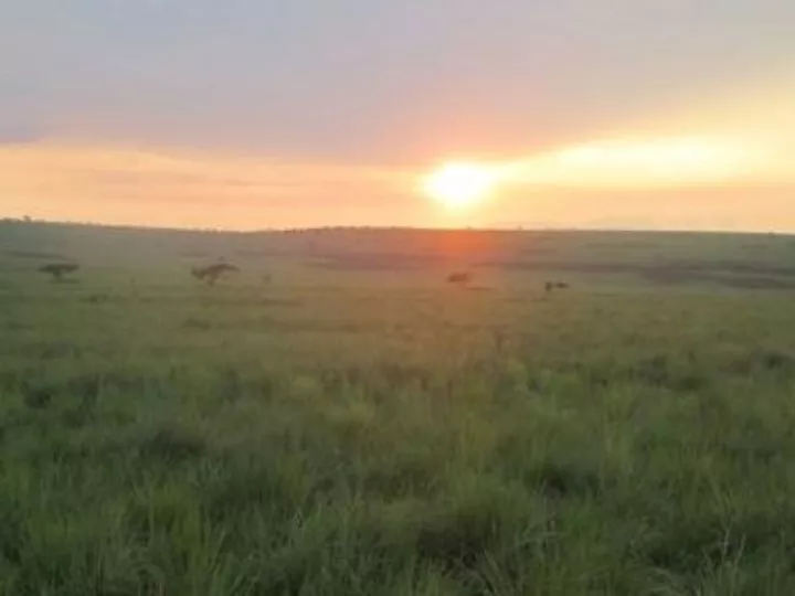 Kwango: Tadita et Tabunda Désertés après Attaques Sanglantes des Mobondo