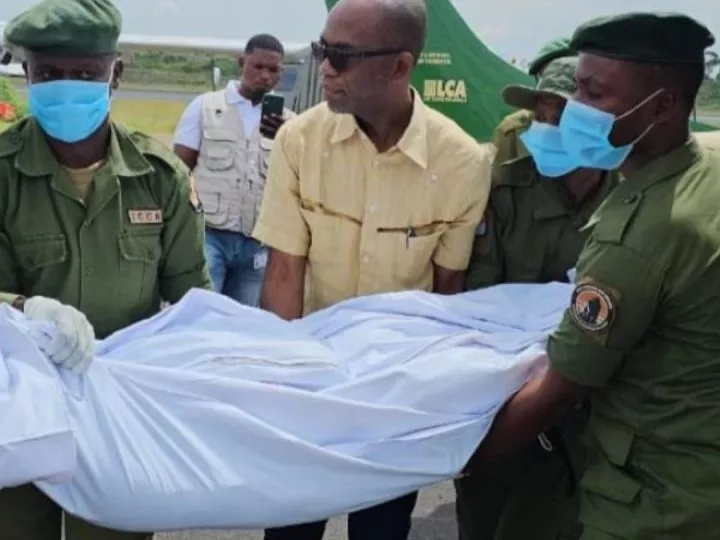 Nord-Kivu : Nouvelle tragédie au Parc Virunga, deux éco-gardes tués