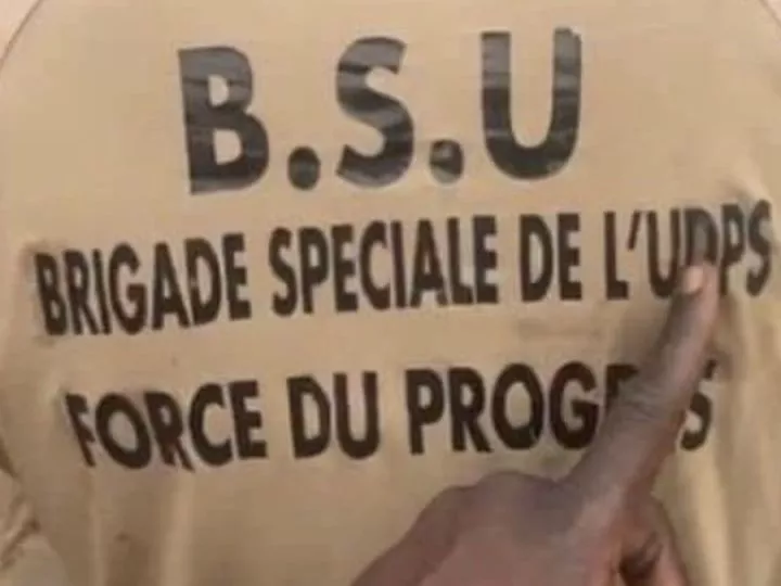 Violences lors de la Marche du 20 Mai : Le PPRD Réfute les Allégations de Peter Kazadi et Met en Lumière le Rôle de la ‘Force du Progrès’ de l’UDPS