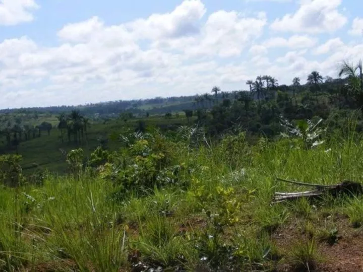 Inquiétudes dans le Kongo-Central : le vice-premier ministre révèle la présence de groupes armés non identifiés