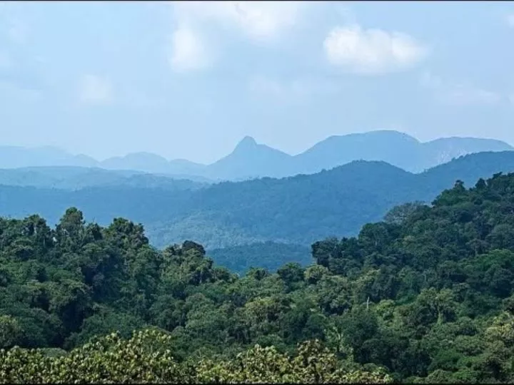 Sud-Kivu : Le Parc national de Kahuzi Biega signale des activités suspectes d’hommes armés