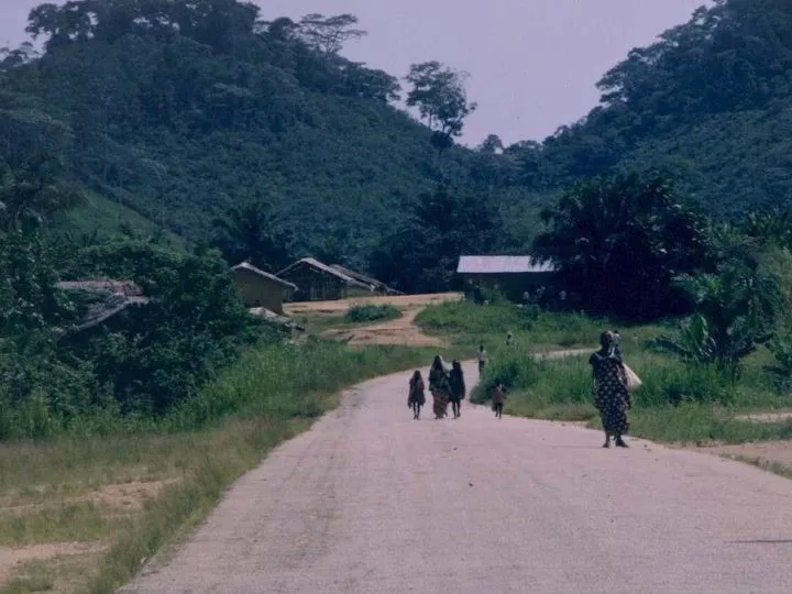 Kindu-Kalima : la Route Refaite et la Joie des Opérateurs Économiques à Kalima