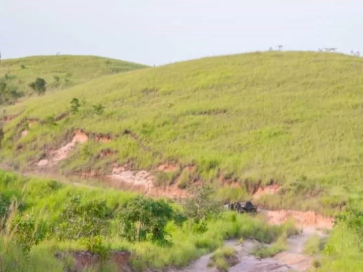 Kongo-Central : Dix-huit morts dans des affrontements entre miliciens Mobondo et l’armée