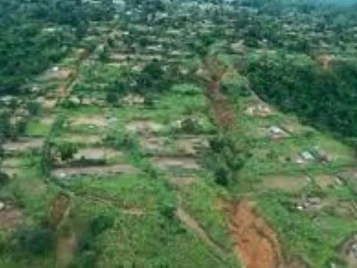 Kwango : Quinze militaires tués dans des affrontements avec les miliciens Mobondo (bilan provisoire)