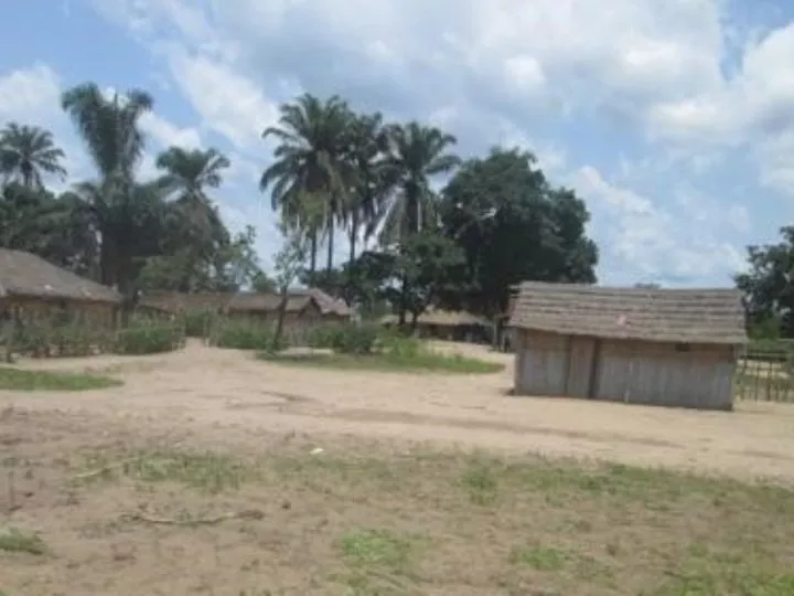 Mai-Ndombe : la milice Mobondo bloque la route Kwamouth-Masiambio