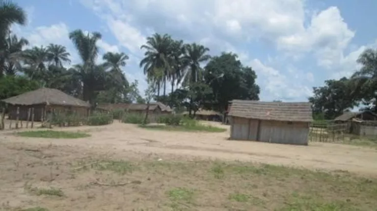 Mai-Ndombe la milice Mobondo bloque la route Kwamouth-Masiambio