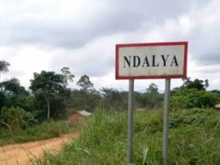 RDC : Bombardement de Drones sur des Positions des ADF à Ndalya en Ituri