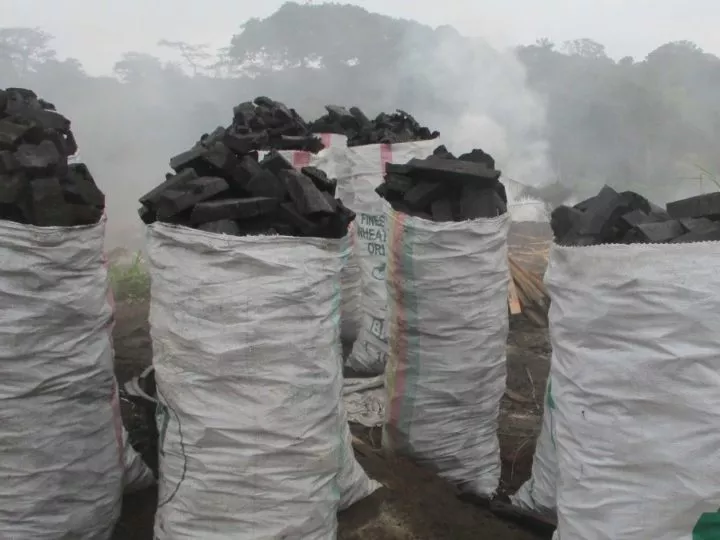 Hausse Significative du Prix du Charbon de Bois à Beni, Nord-Kivu