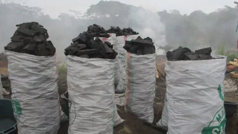 Charbon de Bois BENI nord kivu