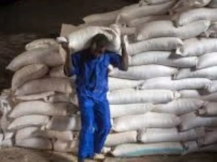 Baisse du Prix du Maïs à Mbuji-Mayi : Des Mesures Gouvernementales Apaisent les Tensions