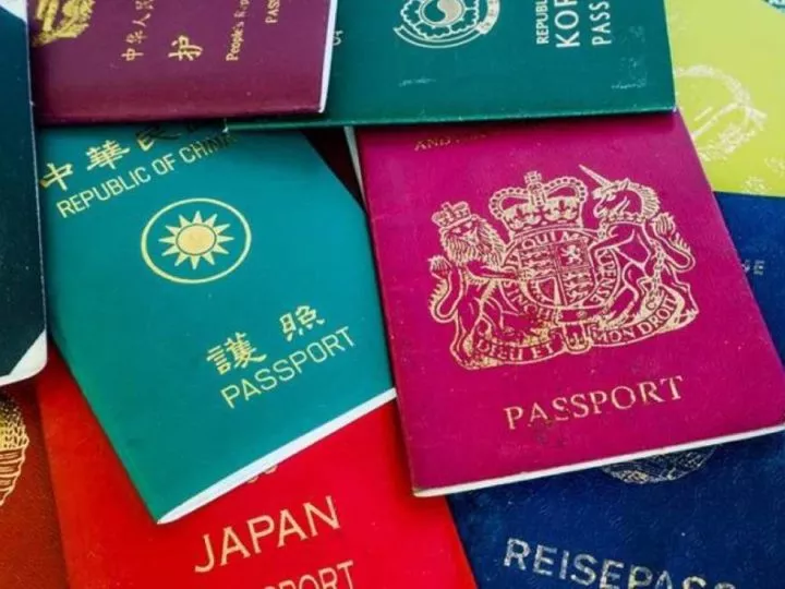 Classement 2024 des Passeports les Plus Puissants : Top 6 des Pays Leaders