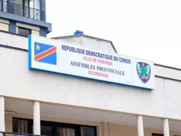 Résultats des Élections à Kinshasa : La Liste de quelques Nouveaux Députés Provinciaux