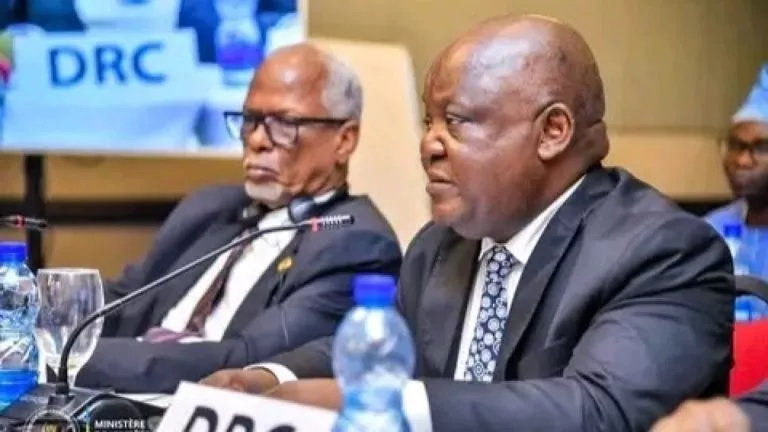 Le COMESA S'Engage à Soutenir le Secteur Public de la RDC