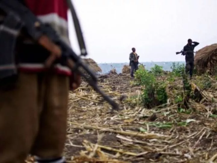 Ituri : 26 morts dans une attaque des miliciens de la CODECO à Djugu