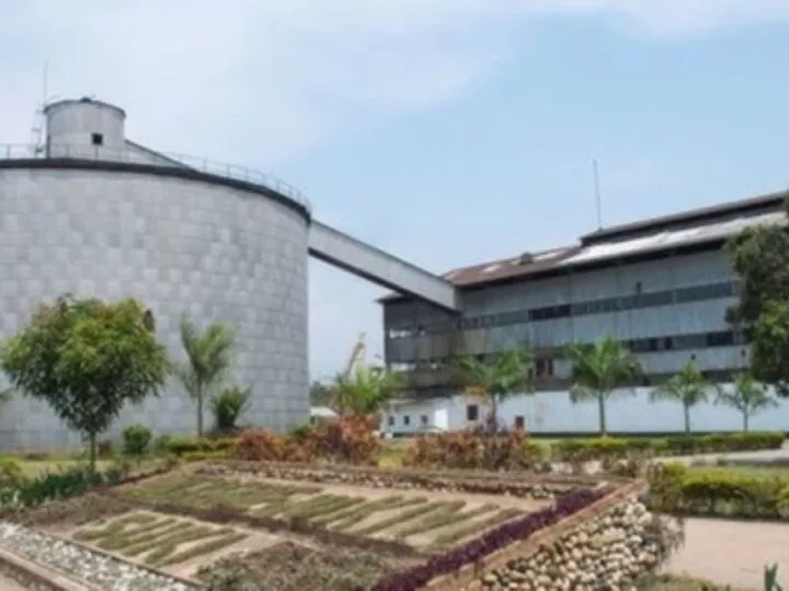 Sud-Kivu : La Sucrerie du Kivu (SUKI) redémarre après 26 ans d’inactivité