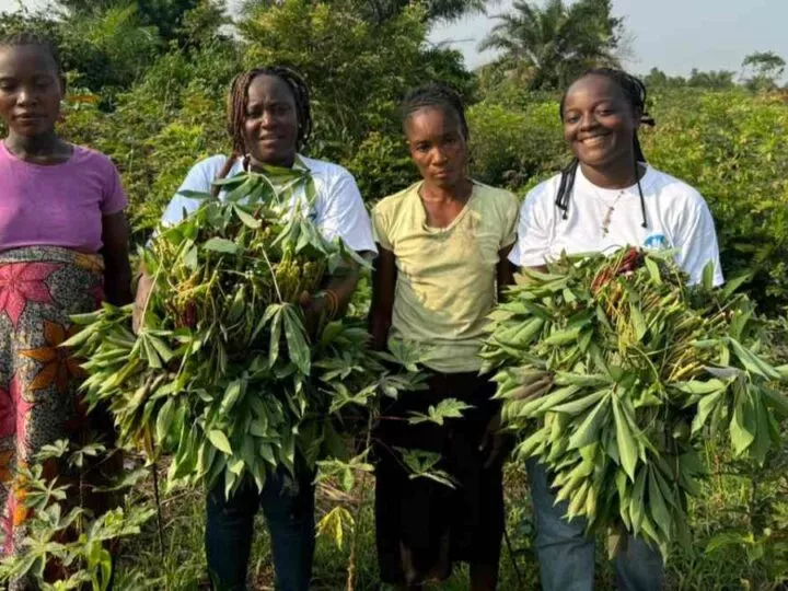 Protection des tourbières du bassin du Congo : TOGETHER lance un cri d’alerte
