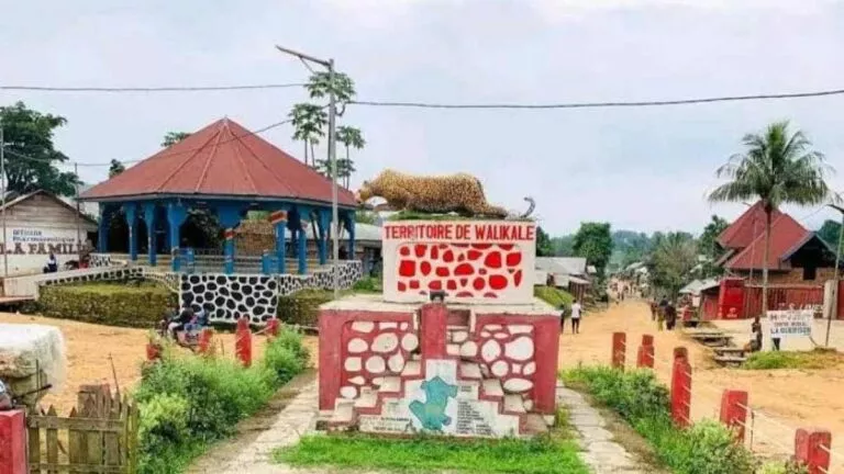 walikale centre fardc wazalendo